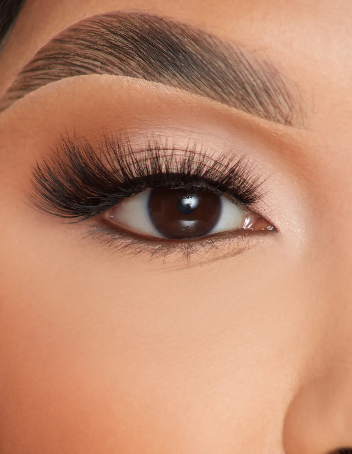 P. Louise P.Louise Lashes - Feather Flair- Lashes