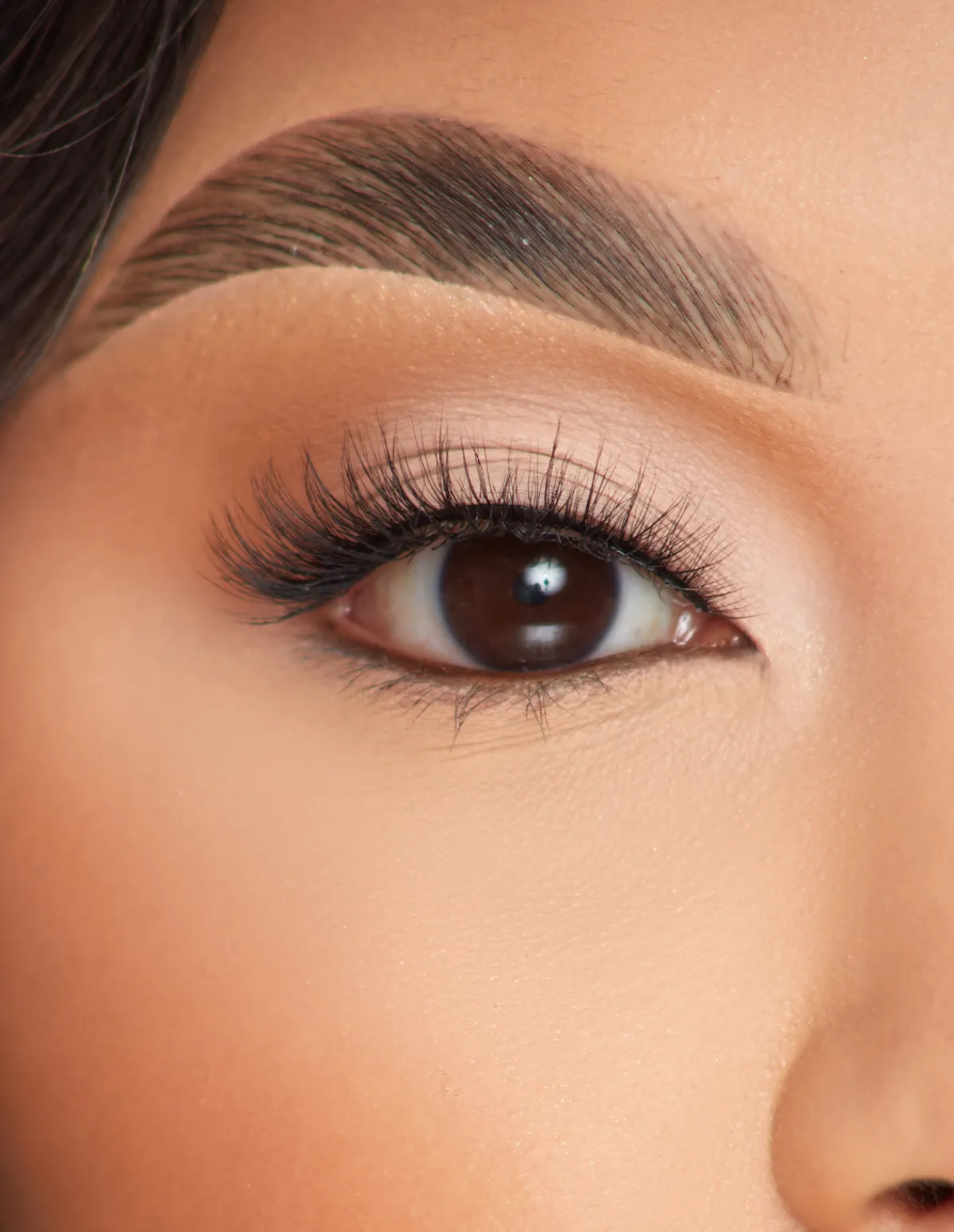 P. Louise P.Louise Lashes - So Graceful- Lashes